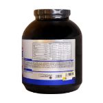 پودر مس پلاس ویوا پاور 2700 گرم - Viva Power Mass Plus Powder 2700 g