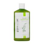 شامپو مناسب کف سر چرب درم انجلین 250 میلی لیتر - Dermangeline Oily Scalp Shampoo 250 ml