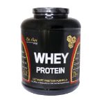 پودر پروتئین وی دکتر سان 2270 گرم - Dr Sun Whey Protein Powder 2270 g