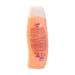 شامپو فاکس حاوی عصاره هلو و زرد آلو مناسب موهای چرب - Fax Shampoo for Greasy Hair with Peach and Apricot Extracts