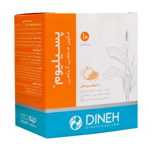 ساشه گرانول پسیلیوم دینه 10 عدد - Dineh Psyllium Granule 10 Sachets