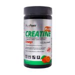 پودر کراتین پلاس ویوا پاور 300 گرم - Viva Power Creatine Monohydrate Plus Powder 300 g