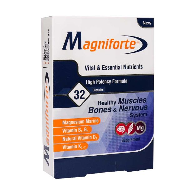 کپسول مگنیفورت هولیستیکا ۳۲ عدد - Holistica Magniforte 32 Cap