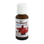 قطره آهن فروزومال 11 میلی گرم سیمرغ دارو عطار 30 میلی لیتر - Simorgh Darou Attar Ferrosomal Drops 30 ml