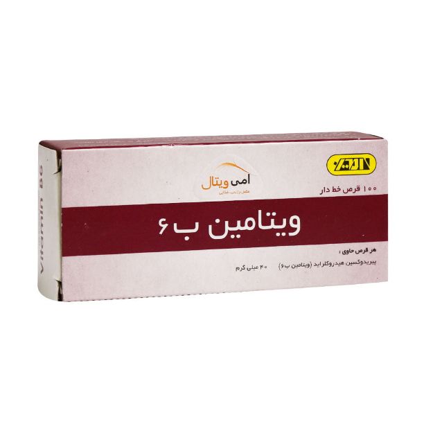 قرص ویتامین B6 امی ویتال 100 عدد - Ami Vital Vitamin B6 100 Tabs