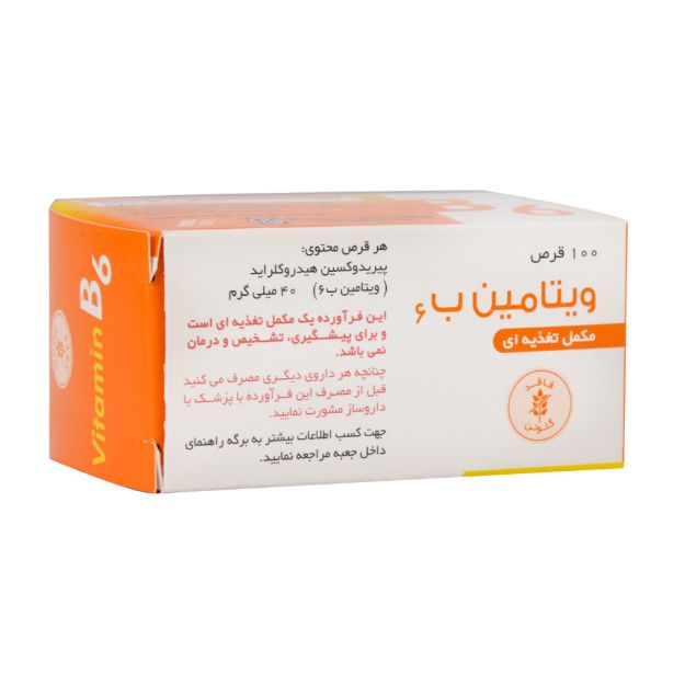 قرص ویتامین B6 40 میلی گرم دارو پخش 100 عدد - Darou Pakhsh Vitamin B6 100 Tablets