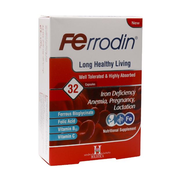 کپسول فرودین هولیستیکا ۳۲ عدد - Holistica Ferrodin 32 Capsules