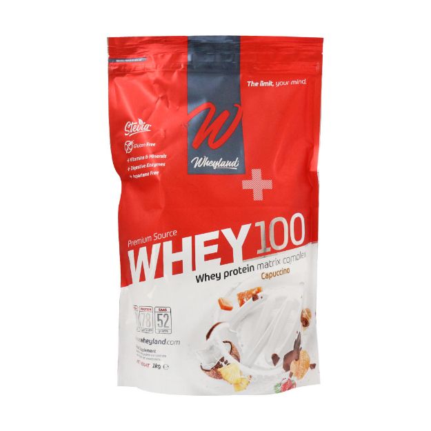 پودر وی 100 وی لند 1000 گرم - Wheyland Whey 100 Powder 1000 g