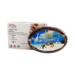 صابون لایه بردار و ضد جوش سی استار 65 گرم - Sea Star Natural Transparent Soap 65 g