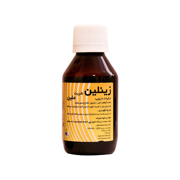 شربت زینلین سلامت گستر آرتیمان 120 میلی لیتر - Artiman Zinlin Syrup 120 ml