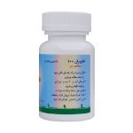 قرص فلاویران 100 میلی گرم اهران تجارت 60 عدد - Ahran Tejarat Flaviran 100mg 60 Tablets