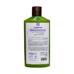 شامپو فاقد سولفات تنظیم کننده چربی کف سر درم انجلین 250 میلی لیتر - Dermangeline Sebum Regulator And Volumizer shampoo 250 ml