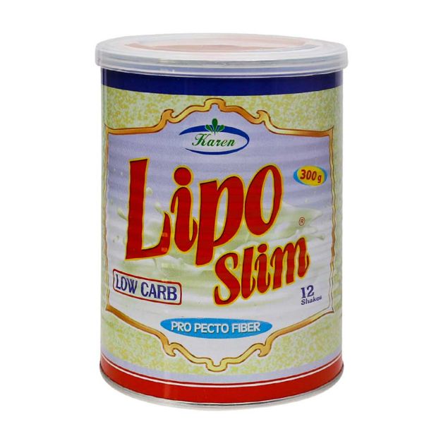 پودر لیپو اسلیم کارن 300 گرم - Karen Lipo Slim pro Pecto Fiber 300 g