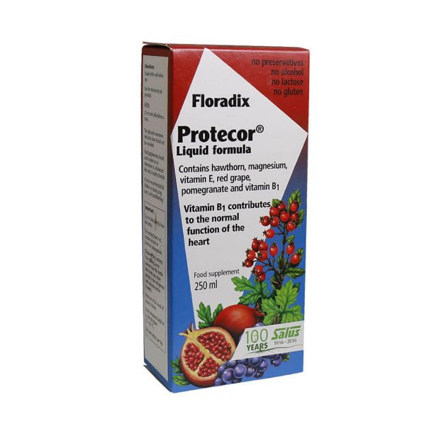 شربت مولتی ویتامین پروتکور فلورادیکس 250 میلی لیتر - Floradix Protecor Syrup 250 ml