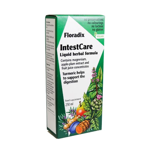 شربت اینتست کر فلورادیکس مکمل منیزیم ارگانیک 250 میلی لیتر - Floradix IntestCare Liquid Herbal Formula 250 ml