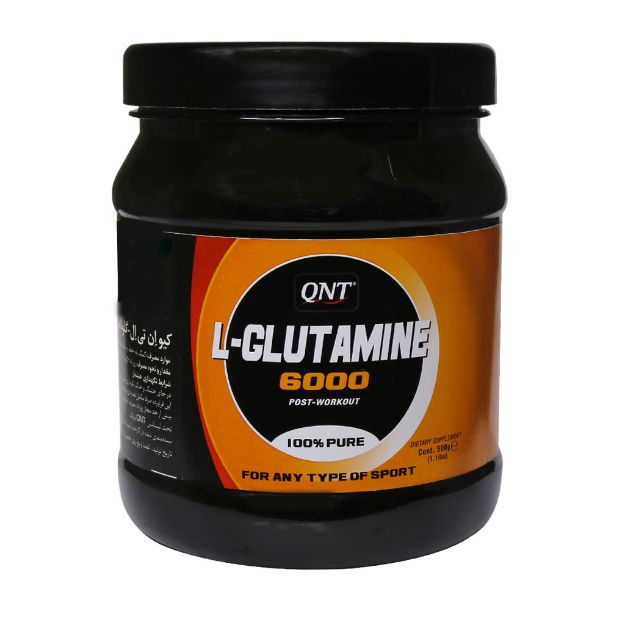 پودر گلوتامین 6000 کیو ان تی 500 گرم - QNT Glotamin 6000 Powder 500 g