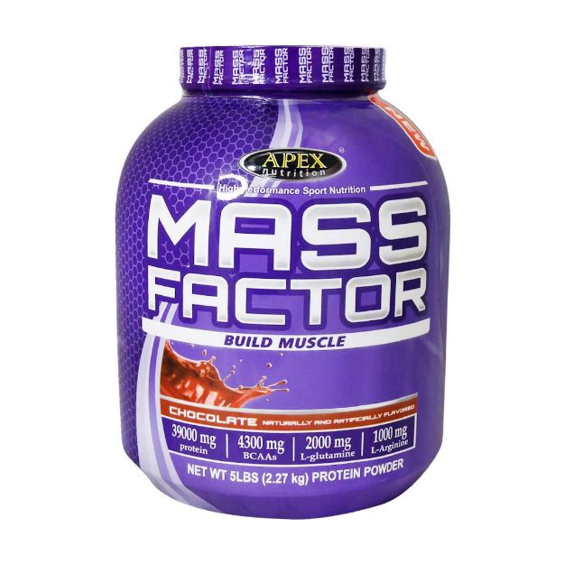 پودر مس فکتور اپکس ۲۲۷۰ گرم - Apex Mass Factor Powder 2270 g