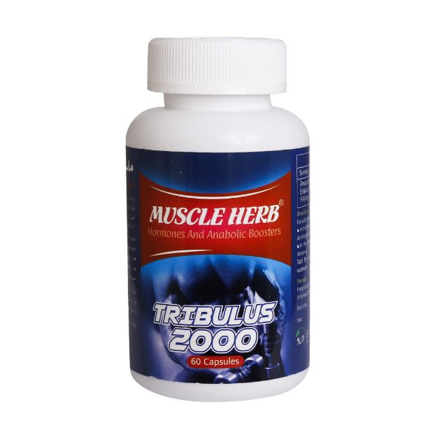 کپسول تریبولوس ماسل هرب بهتا دارو  افزایش هورمون های مردانه 60 عدد - Behta Daru Muscle Herb 60 caps