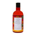 شامپو بدن تروپیکال دیپ سنس سی گل مناسب پوست های خشک و معمولی 400 میلی لیتر - Seagull Deep Sense Tropical Fruits Body Wash Gel 400 ml