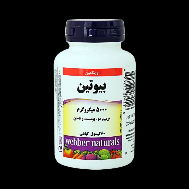 کپسول گیاهی بیوتین 500 وبر نچرالز 60 عدد - Webber Naturals Biotin 60 Vegetarian Caps