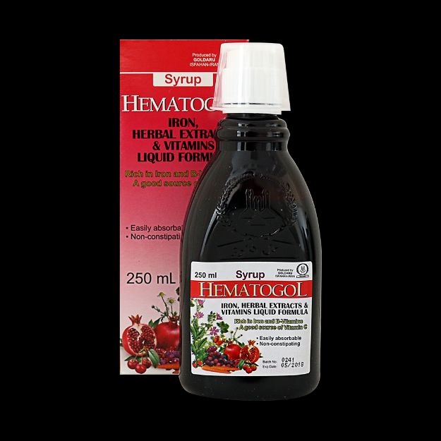 شربت هماتوگل گل دارو ۲۵۰ میلی لیتر - Goldaru Hematogol Syrup 250 ml