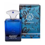 عطر جیبی مردانه برندینی مدل Interlude Iris حجم 33 میلی لیتر - Brandini Interlude Iris Perfume For Men 33 ml