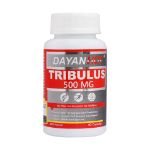 کپسول تریبولوس دایان‌ هات دایان فارما 60 عدد - Dayanpharma Tribulus Dayan Hot 60 Caps