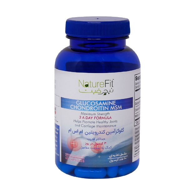 کپسول گلوکزآمین کندرویتین ام اس ام نیچرفیت 60 عدد - Nature Fit Glucosamine Chondroitin MSM 60 Cap