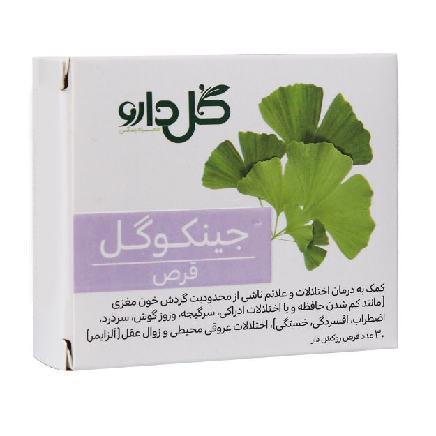 قرص جینکوگل گل دارو 30 عدد - Goldaru Ginkogol 30 Tabs