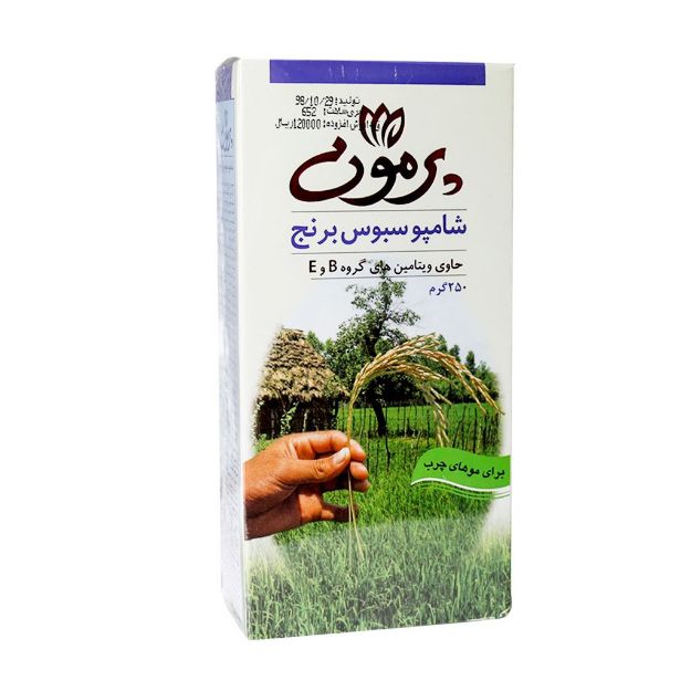 شامپو سبوس برنج موهای چرب پرمون 250 گرم - Parmoon Rice Bran Shampoo for Greasy Hair 250 gr