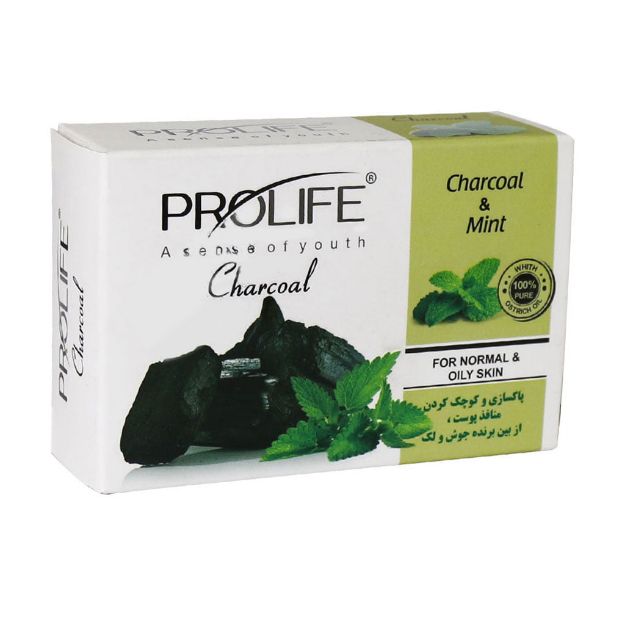 صابون گیاهی نعنا و زغال اکتیو پرولایف 100 گرم - Prolife Charcoal and Mint Soap 100 gr