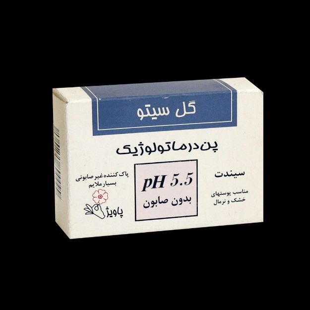 پن درماتولوژیک گل سیتو ۱۰۰ گرم - Gol Cito Dermatologique Pain 100 g