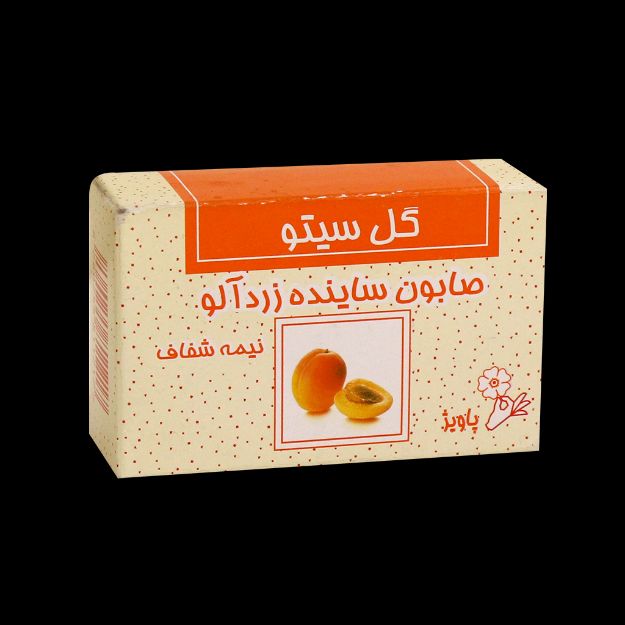 صابون ساینده زردآلو گل سیتو ۱۰۰ گرم - Gol Cito Apricot Scrub Soap 100 g