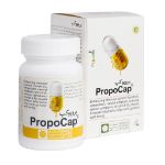 کپسول پروپوکپ گیاهان سبز زندگی 45 عدد - Green Plants of Life Propocap 45 Capsules