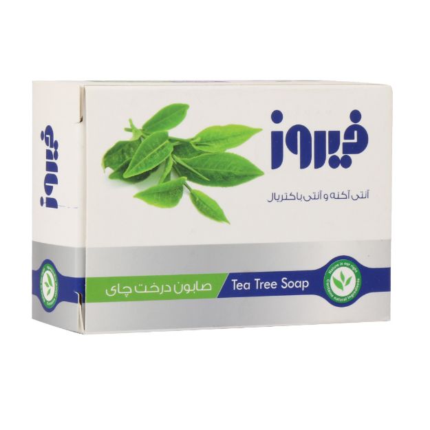 صابون تی تری فیروز مناسب پوست های چرب و مستعد آکنه ۱۲۰ گرم - Firooz Tea Tree Soap 120 g