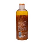 روغن برنزه کننده اکلیلی و ویتامینه سی گل مناسب انواع پوست 250 میلی لیتر - Seagull Shimmer Sun Oil 250 ml